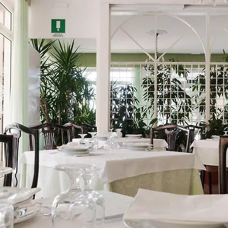 Hollywood 세니갈리아