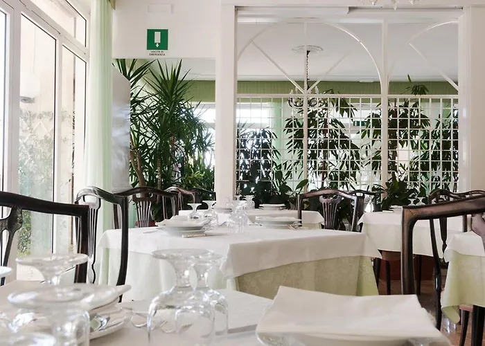 Hollywood Senigallia